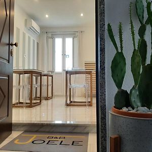 B&B Joele